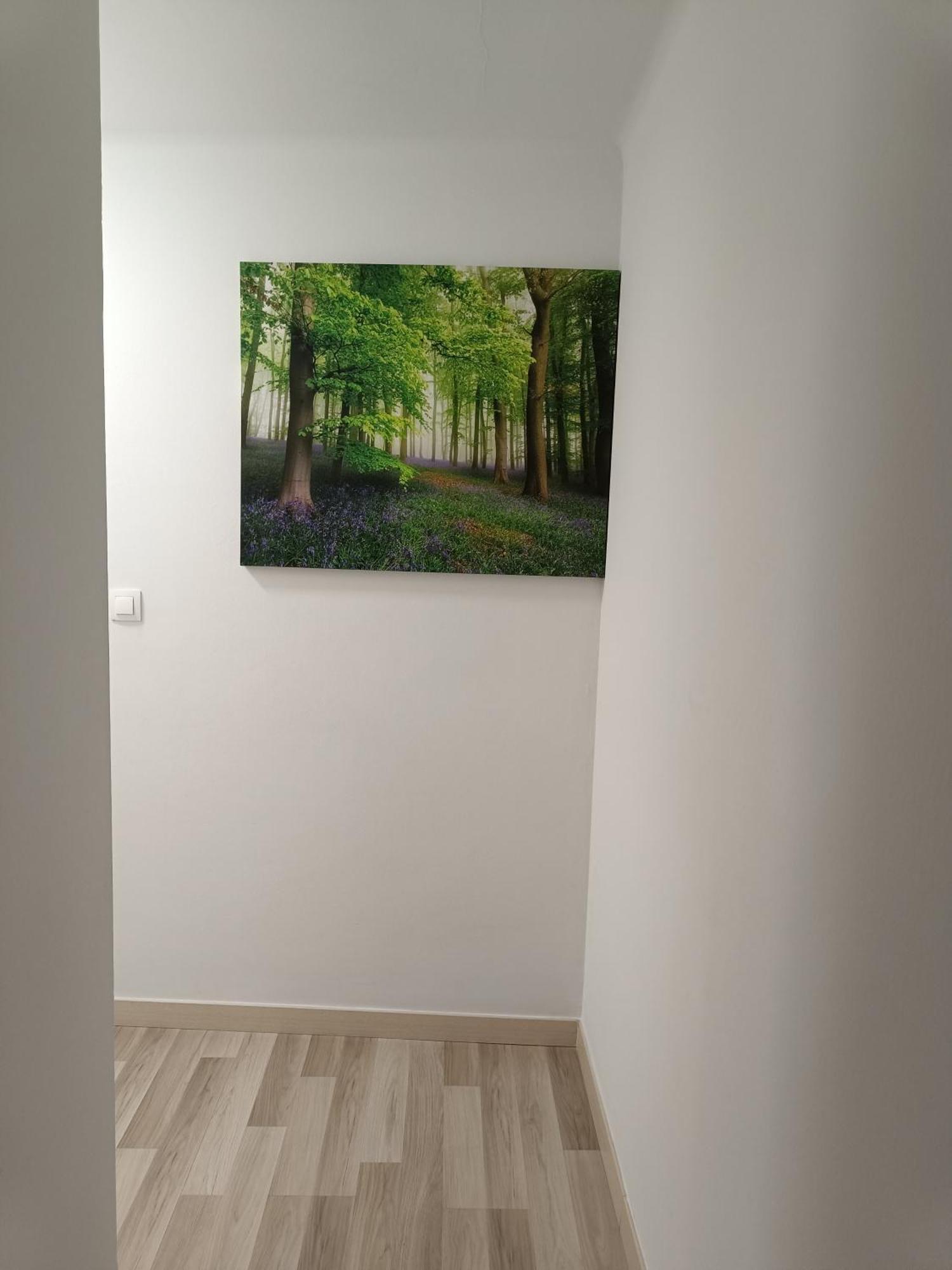 Apartamento Confort I La Seu d'Urgell Extérieur photo